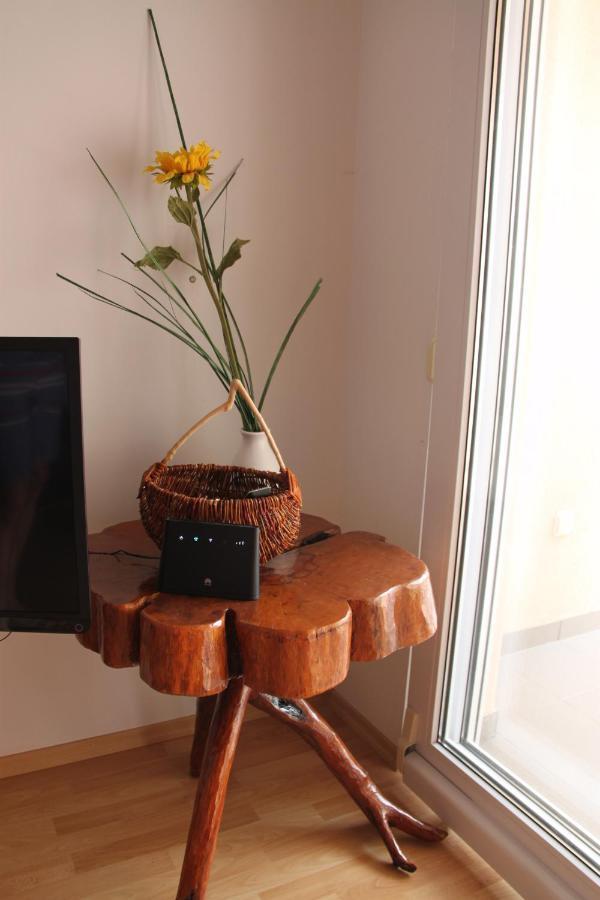 Gallery Apartman Nada زابوريتش المظهر الخارجي الصورة